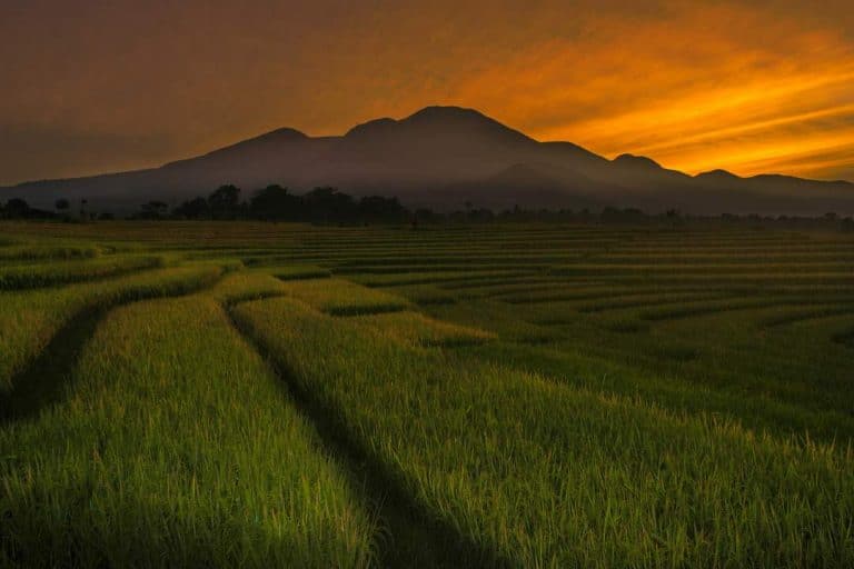Upaya Pembangunan Pariwisata yang Berkelanjutan