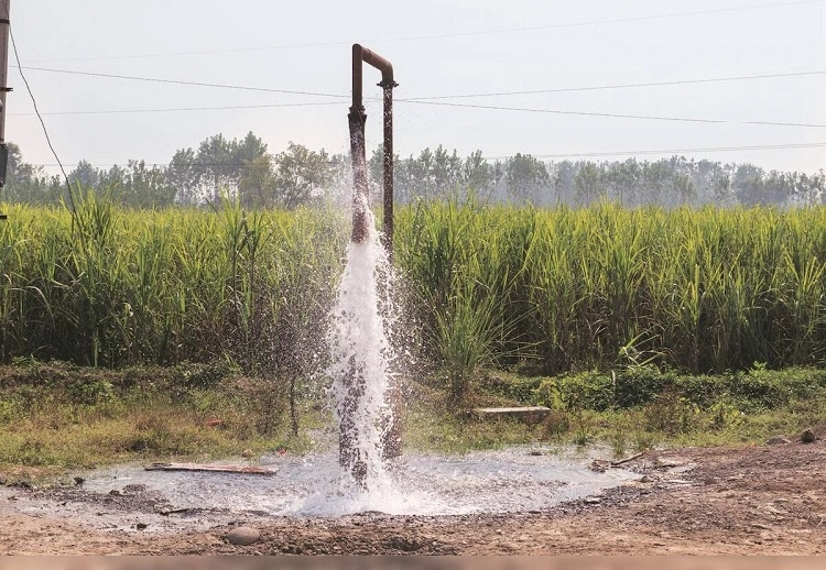 Konsultan SIPA Kabupaten Malang, Sumber: business-standard.com
