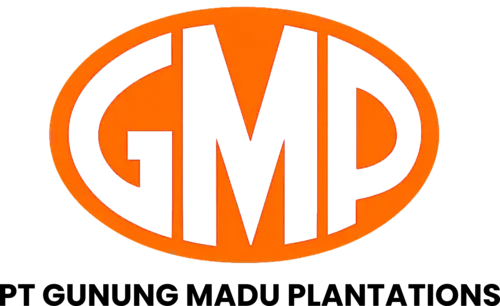 GMP_Logo Mitra Eticon